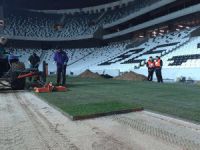 Vodafone Arena'da çimler seriliyor