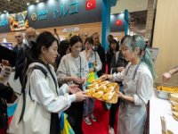 Japonlar Türk lezzetlerine hayran kaldı
