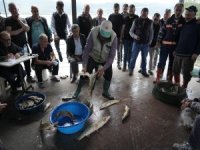 Gölyazı'da 100 yıllık balık mezadı