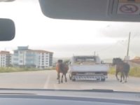 Bursa'da tepki çeken görüntü