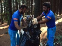 Bursa'da orman temizliği