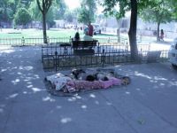 Parklar, Suriyeli ailelerin meskeni oldu