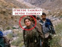 PKK/KCK terör örgütü üyesi 3 kardeş tutuklandı