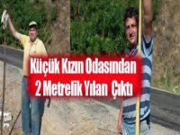 Bursa'da Yatak Odasından 2 metrelik yılan çıktı…