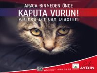 Araca binmeden önce kaputa vur