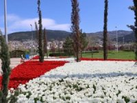 Bursa park ve bahçeleri baharla renklenecek