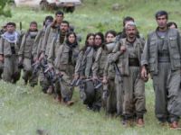 PKK'nın sözde ilçe sorumlusu öldürüldü
