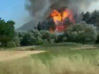 Bursa'daki yangını havadan ve karadan müdahale