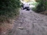Böyle vicdansızlık görülmedi