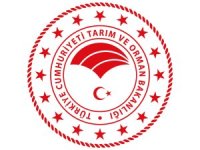 Bütçe Haziran’da açık verdi