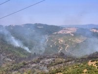 Balıkesir'deki orman yangını sürüyor