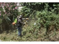Kumla'da kapsamlı temizlik
