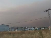 Bursa'yı duman ve kül kapladı