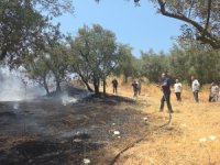 Orhangazi'de yangın: 2 çocuk gözaltında