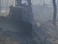 10 orman kahramanı burada şehit oldu