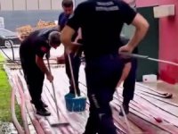 Yangınlar nihayet söndü şimdi temizlik zamanı