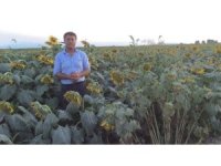 Sarıbal: ''Üretici zararda!''