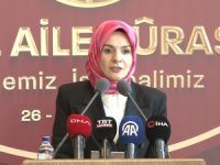 Aile Bakanı TOGG'dan vazgeçti Mercedes'i seçti