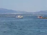 Boğulduğu sanılan dalgıç, yüzerek çıktı
