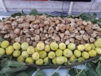 Kuru incirde yeni sezon 15 Ekim'de başlıyor