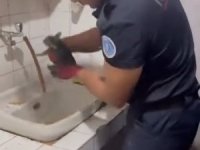 Bursa'da yaramaz kedinin imdadına itfaiye yetişti