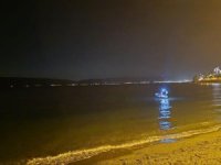 Bursa'da denizde çığlık seslerini duyan sahile koştu
