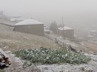 Karadeniz’de şiddetli yağış yerini kara bıraktı