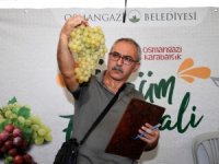 En kaliteli üzümler Osmangazi'de yarıştı
