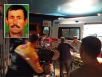 Bursa'da koyununu kurtarmak isterken yamaçtan düşüp yaralandı