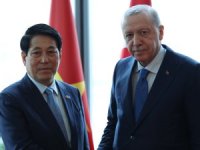 Erdoğan, Vietnam Devlet Başkanı Luong Cuong ile görüştü