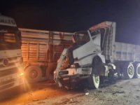 Yol kenarındaki arızalı araca çarptı