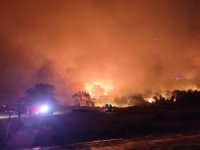 Bursa'da orman yangını...Rüzgarın etkisiyle büyüdü