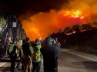 Bursa’daki orman yangını yerleşim alanlarını tehdit ediyor