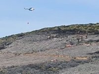 Bursa'da orman yangını! Rüzgar etkisini gösteriyor