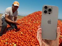 20 ton salçalık domates bir iPhone 17 ediyor