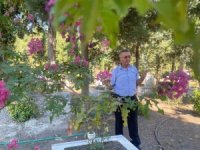 Bursalı öğretmen oğlunun mezarlığını çiçek bahçesine dönüştürdü