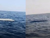 Balıkçılar tetikte! Bir insansız deniz aracı daha mı?