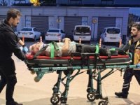 Bursa'da ceviz ağacından düşen adam hastanelik oldu