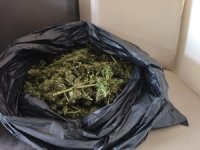 Bursa'da güvercin kümesinden uyuşturucu çıktı