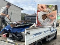 Bursa'da mide bulandıran görüntüler! Bozuk köfte ve sucuklar...