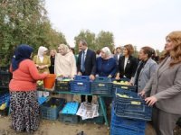 Bursa'da topuklu iş kadınları ile şalvarlı kadınlar tarlada buluştu
