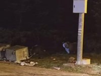 Uludağ'da ayılar kış uykusuna yatamadı