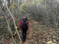 Bursa'da ormanda kayboldu, sağ bulundu
