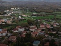 Şap alarmı! 3 köy karantinada