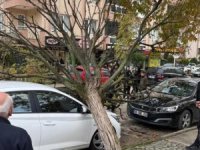 Bursa’da devrilen ağaç korku dolu anlar yaşattı