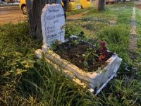 Taksicilerden ölen muhabbet kuşuna vefa