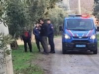 Bursa'da 500 kilo zeytini dalından çaldılar