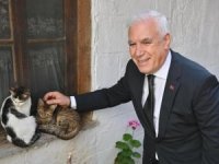 Bursa Büyükşehir Belediyesi patili dostların yanında