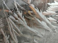 Ardahan’da Sibirya soğukları! Eksi 36’yı gördü