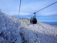 Teleferiğe lodos engeli